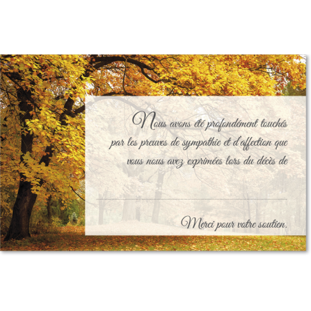 Cartes remerciements préremplies - PR14