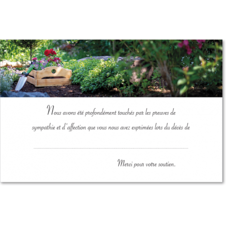 Cartes remerciements préremplies - PR27