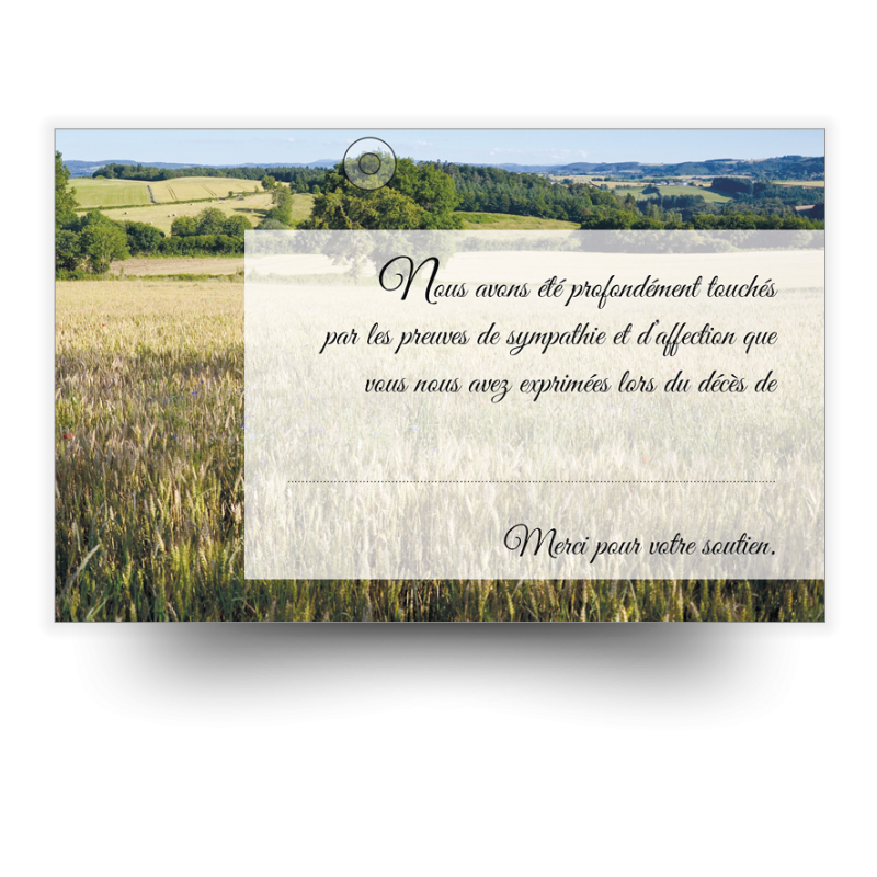 Cartes de remerciements condoléances paysage blé