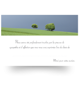 Carte de remerciements de condoléances préremplies
