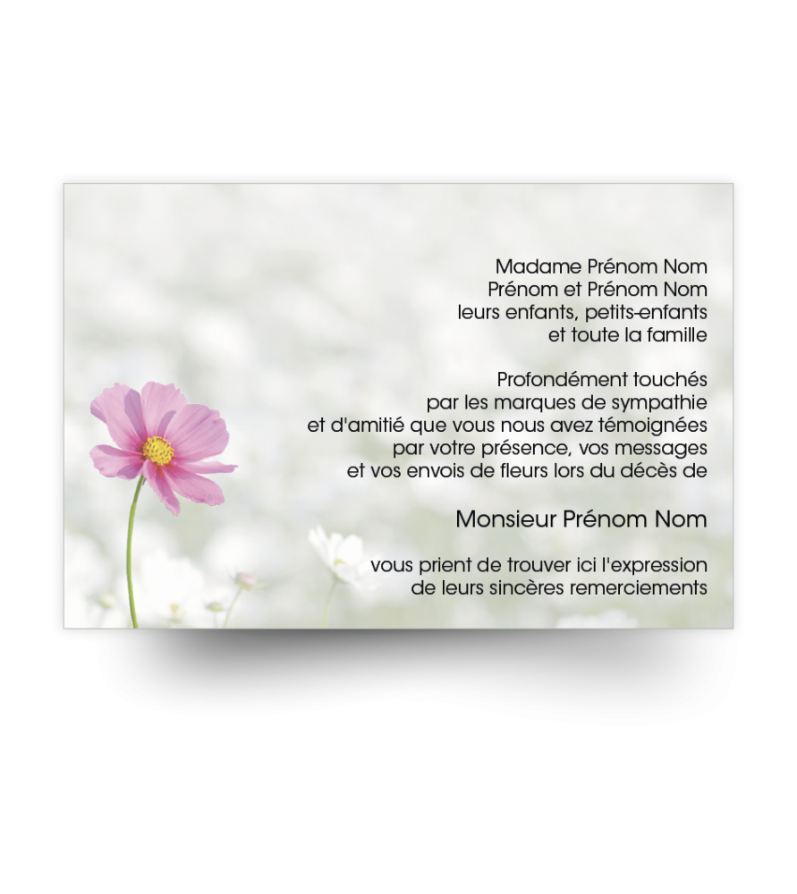 Cartes de remerciements de condoléances personnalisables Cartes de remerciements de condoléances personnalisables