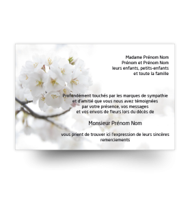 Cartes de remerciements de condoléances personnalisables