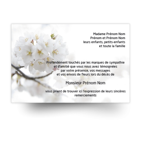 Cartes de remerciements de condoléances personnalisables