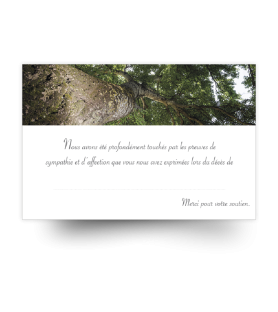 Carte de remerciements de condoléances préremplies