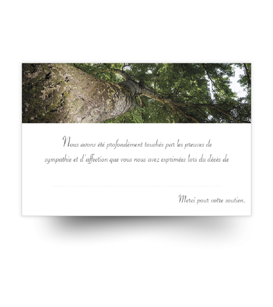 Carte de remerciements de condoléances préremplies