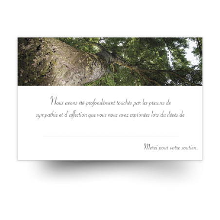 Carte de remerciements de condoléances préremplies