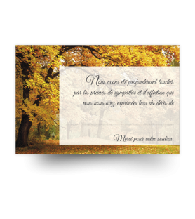 Carte de remerciements de condoléances préremplies