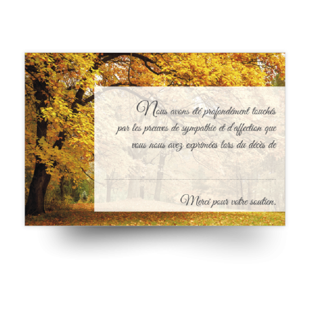 Carte de remerciements de condoléances préremplies