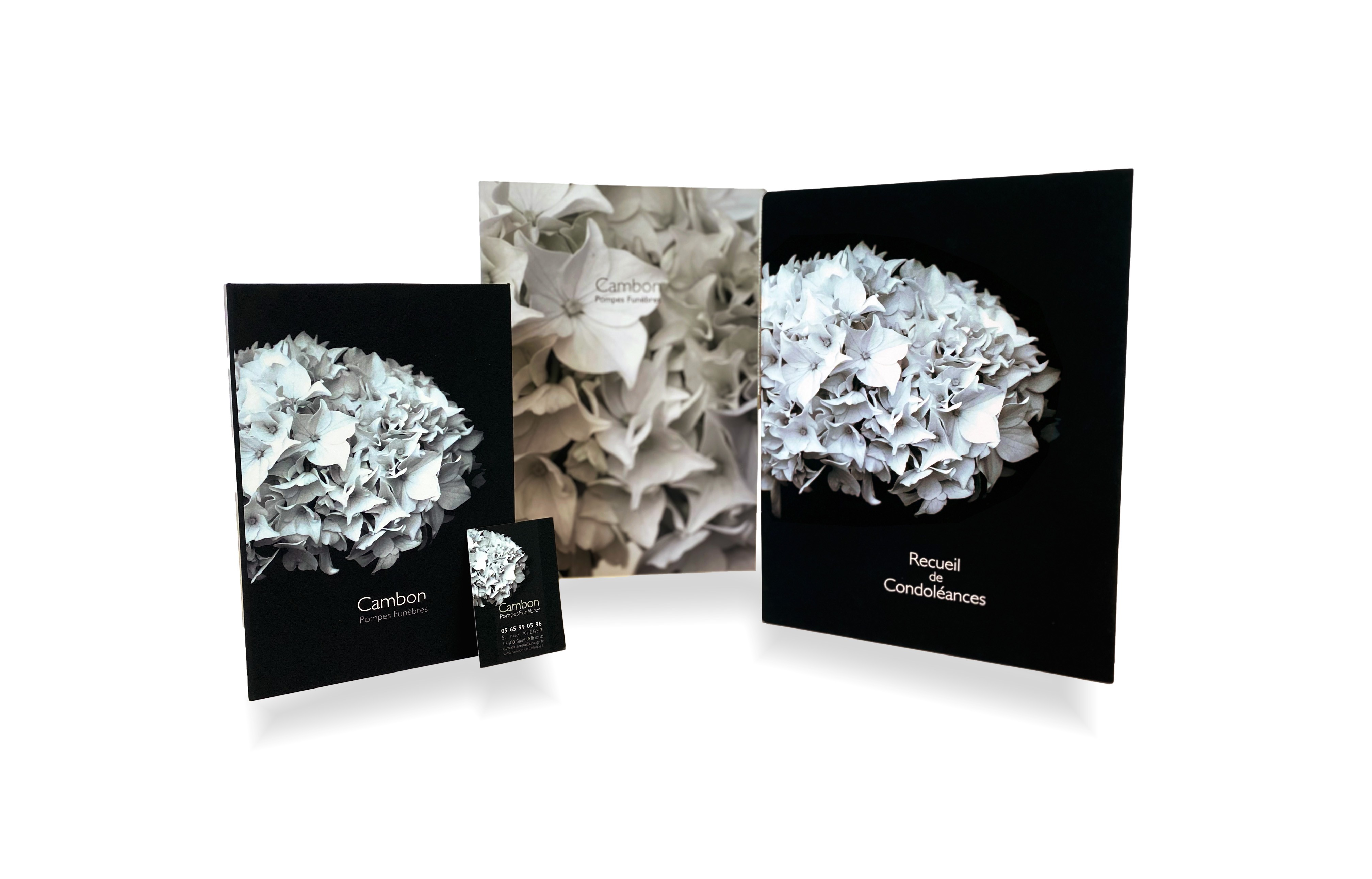 L'hortensia blanc pour les pompes funèbres Cambon
